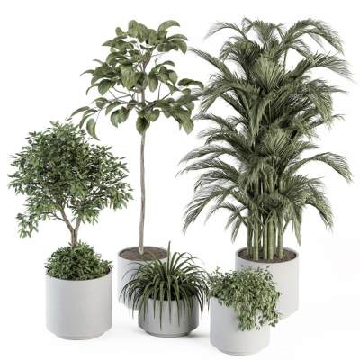 现代绿植盆栽组合-1